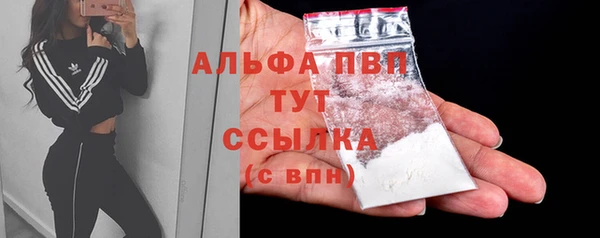 молекула духа Зеленодольск