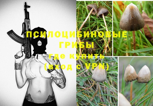 молекула духа Зеленодольск