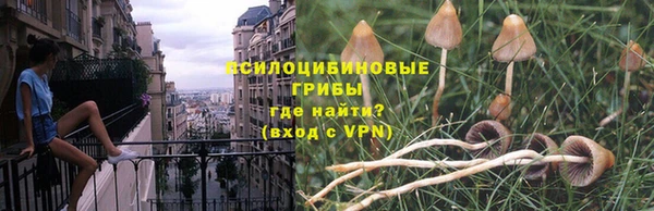 молекула духа Зеленодольск