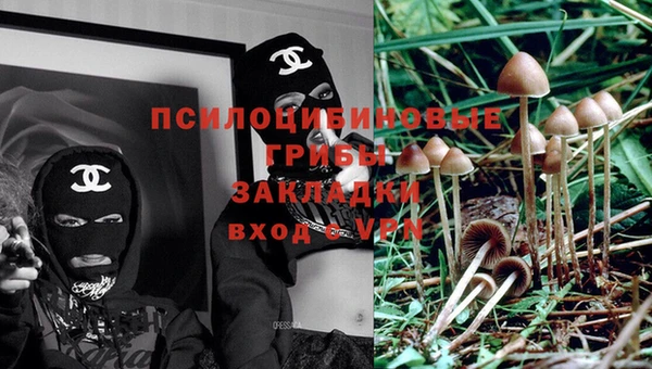 скорость Зерноград
