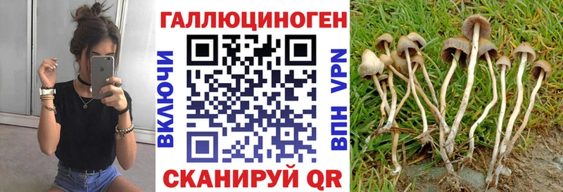 Псилоцибиновые грибы Psilocybine cubensis  Купить где  Заволжск 